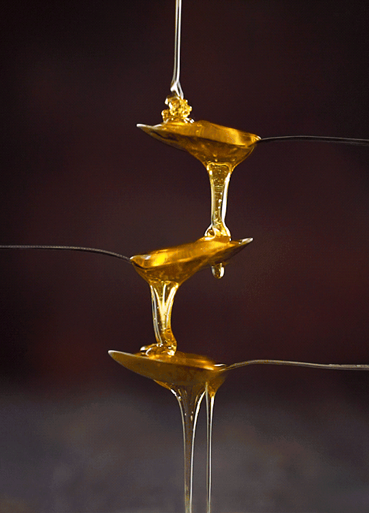 蜂蜜3.种喝法,你试过吗?试过第2.的都说好 蜂蜜3.种喝法,你试过吗?试过第2.的都说好